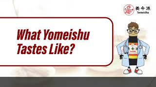 Yomeishu Caring Tips 02 What Yomeishu taste like [upl. by Kannry]