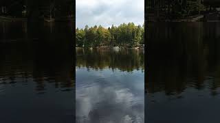 fichtelsee fichtelgebirge lake water autumn newshorts bavaria [upl. by Ardelle127]