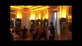 Vivaldi Quattro Stagioni Primavera  J Music Classical Ensemble [upl. by Gasser126]