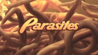 Parasites  Documentary 2008 [upl. by Ecinahs]