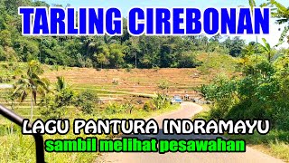 TARLING CIREBONA PANTURA INDRAMAYU ENAK DIDENGAR FULL BASS 2024 [upl. by Aneleh]