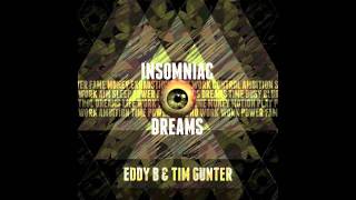 Eddy B amp Tim Gunter  No Throne [upl. by Akirderf]