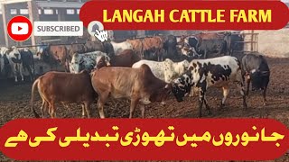 animal ka wazan vagira kia or kuch tabdili ki hai 🐂 [upl. by Heyra369]