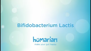 Bifidobacterium Lactis [upl. by Metzger]