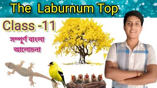 The Laburnum Top by Ted Hughes in Bengali NCERT CBSE  Class11 Explain by DasExplanation [upl. by Webster]