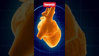 Discover the Power of Flavonoids Why You Need These Superfoods healthtips flavonoids [upl. by Adal]