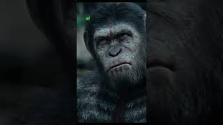 EVOLVED APES Show STRENGTH to HUMANS dawnoftheplanetoftheapes movierecaps movieclips moviereview [upl. by Elvera143]