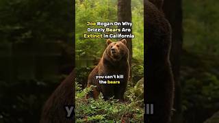 Joe Rogan Talks about the extinction of Grizzly Bears shorts animals grizzlies [upl. by Ydok]