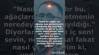 Bertolt Brecht  Özlü sözler bertoltbrecht özlüsözler yazarlar edebiyat [upl. by Redyr]