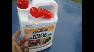 spectracide ready to use weed amp grass killer with pump sprayer only 7 bucks on Amazon 1 gallon [upl. by Awhsoj960]