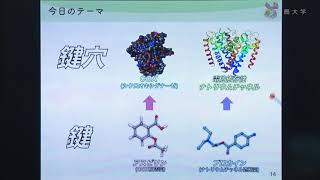 分子レベルで見る。薬はなぜ効くの？－創薬化学者と鍵職人－ [upl. by Immot]