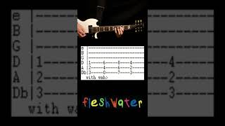 Fleshwater Kiss The Ladder Guitar Tab Cover [upl. by Assenat]