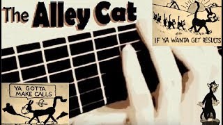 quotThe Alley Cat Songquot  guitar cover [upl. by Candace]