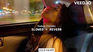 Nadaan Parindey slowed  reverb  A R Rahman Mohit Chauhan  COLD HEART [upl. by Nillok]