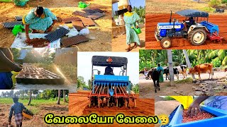 சுரு சுருப்பாகா🌅 தொடங்கிய காலை 👨‍🌾வோலைகள் இனி மண்ணில் விதை💚 போடவேண்டாம் ground nut seeder machine🙃 [upl. by Anieral164]