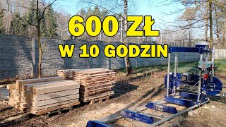 115 Własny trak  czy to się opłaca Cormak E560 [upl. by Assirod]