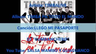 TIMBALIVE LLEGO MI PASAPORTE [upl. by Lienad]