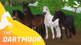 The Dartmoor Pony ✨  Star Stable Horses [upl. by Esinel]