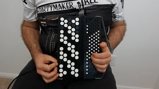 Digital Flex Accordion a Portable Allinone Musical Instrument [upl. by Philis566]