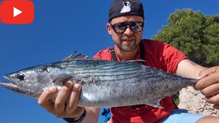 Last Bells Ring for Palamida Atlantic Bonito  Fishing on Pag Island  Croatia [upl. by Abana456]