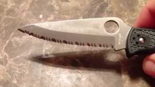 Spyderco Endura 4 spyderedge fully serrated [upl. by Kirsti]