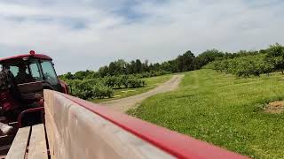 WhitchurchStouffville  Applewood Farm  Wagon Ride 12 [upl. by Joelie922]