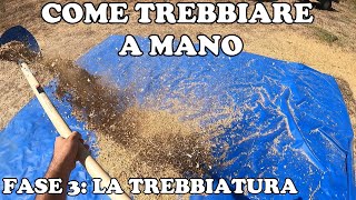 Come Trebbiare a Mano La Trebbiatura  Parte 3 [upl. by Zel]