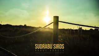 Sudrabu Sirds  Rokas Augstu prod SilinsBeats amp JohnyWood [upl. by Horace]