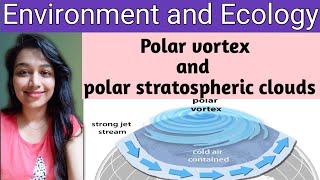 polar vortex explained  polar stratospheric clouds ncert  polar vortex and ozone depletion [upl. by Oelgnaed]