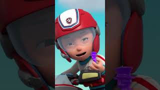 Patrulha Pata resgate do urso de goma gigante do Humdinger  PAWPatrol Portugues shorts [upl. by Zared]