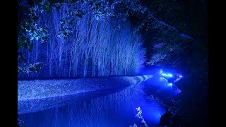 Winter Lights at Anglesey Abbey [upl. by Hareehat]