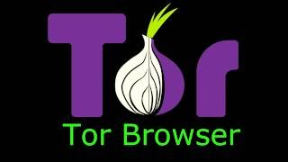 How To Use Tor Browser Tutorial 2016 [upl. by Obla]