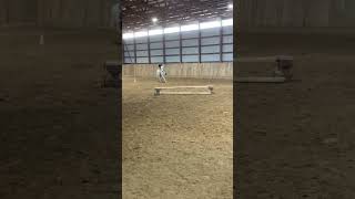 First time jumping Hollywood bare back😁horse equestrian pony riding horseriding horsegirl [upl. by Ruth]