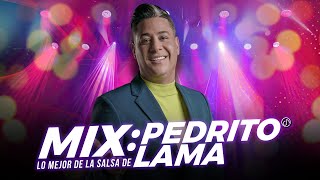 Mix Lo MEJOR de la SALSA de pedritolama [upl. by Hayotal108]