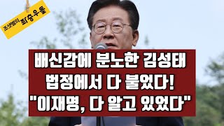 이재명 대북송금 피의자 전환 국가보안법 위반도 추가해야 [upl. by Yartnod]