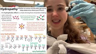 Alanine biochemistry  chirality polarity glucosealanine cycle betalactam antibiotics [upl. by Tedi]