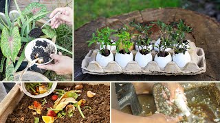 11 Gardening Hacks That Will Blow Your Mind Away [upl. by Reube]