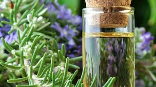 DIY Rosemary oil at home for hair and skin [upl. by Htebharas]