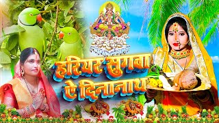 छठ पूजा व्रत गीत  80 कोस में सुरुज बाबा के घटिया  sunita lokgeet Paramparik Chhath Puja Vrat Geet [upl. by Ewolram510]