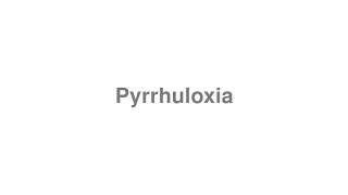 How to Pronounce quotPyrrhuloxiaquot [upl. by Yllak]