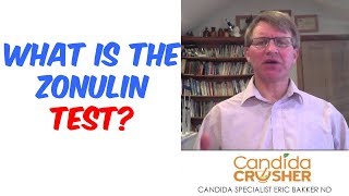 What Is The Zonulin Test [upl. by Nareht676]