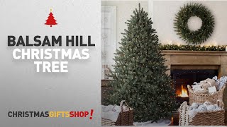 Most Popular Balsam Hill Christmas Tree Balsam Hill Classic Blue Spruce Artificial Christmas Tree [upl. by Pamela]