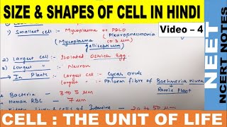 Size and Shapes of Cell in Hindi  Cell  The unit of life  Class 11  Class9  CBSE  NEET 2122 [upl. by Reynard50]