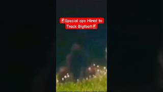 Bigfoot Filmed and Tracked By Special Ops Team [upl. by Aidnyl]