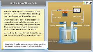 Mechanism of Electrolysis  Electrochemistry  Chemistry  Class 12th  iPrep [upl. by Ytsihc]