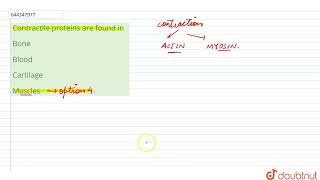 Contractile proteins are found in  12  STRUCTURAL ORGANISATION IN ANIMALS  ANIMAL TISSUES [upl. by Sualkin]