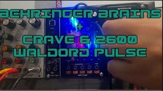 BEHRINGER BRAINS  CRAVE amp 2600 WALDORF PULSE [upl. by Byron]