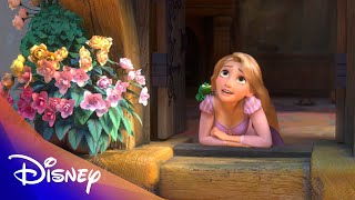 quotWhen Will My Life Beginquot from Tangled Translated  Disney [upl. by Nobel]