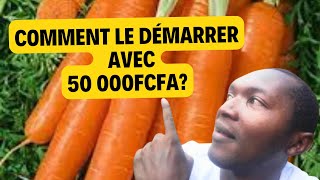 Comment démarrer sa culture de carottes avec un budget minimal de 50 000 FCFA en Afrique [upl. by Oah]