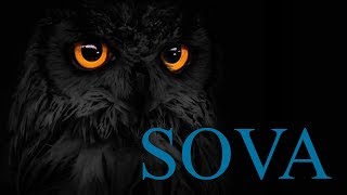 🌙 Priče za laku noć 🦉 SOVA 🦉 Gasi svjetlo [upl. by Richart]